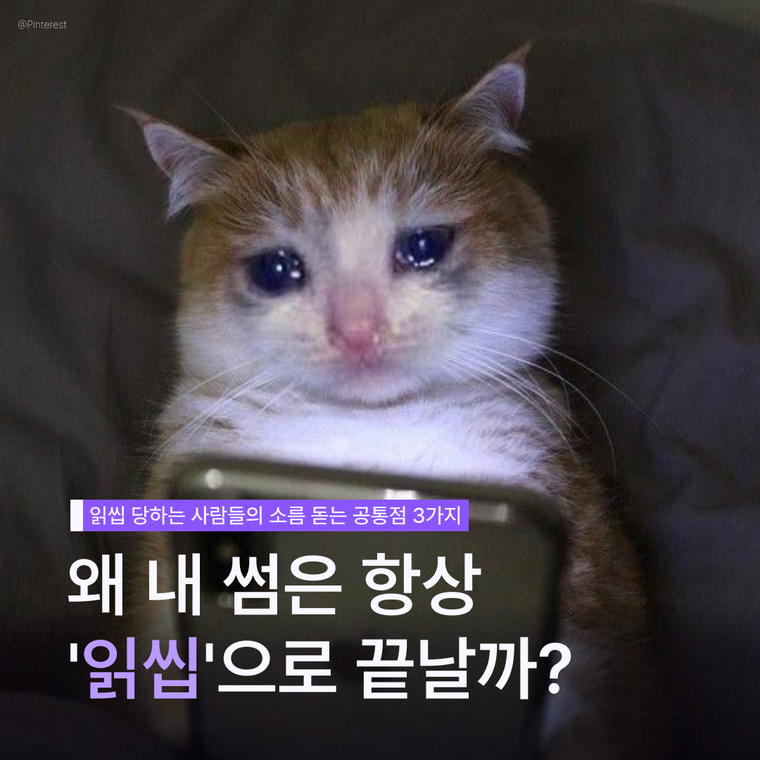 왜 내 썸은 항상 읽씹으로 끝날까? — 썸타임 콘텐츠 대표 이미지