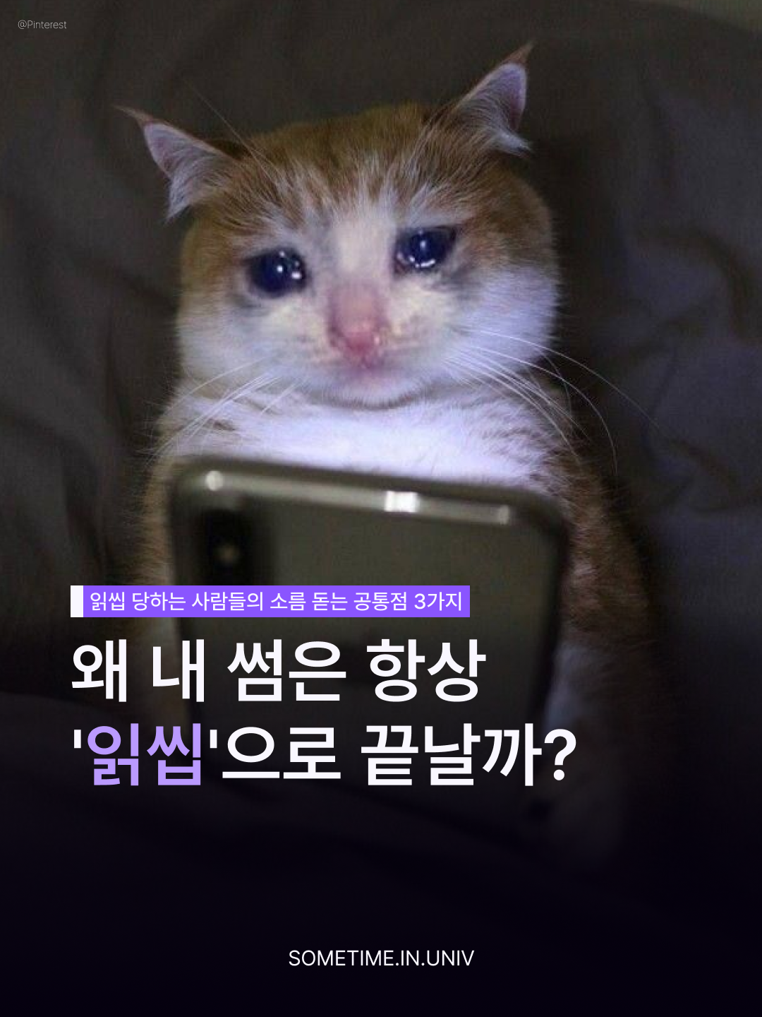 대학생 소개팅 후 읽씹처럼 느껴질 때 — 썸타임 콘텐츠 대표 이미지